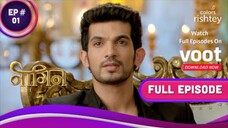 Naagin Episode 1