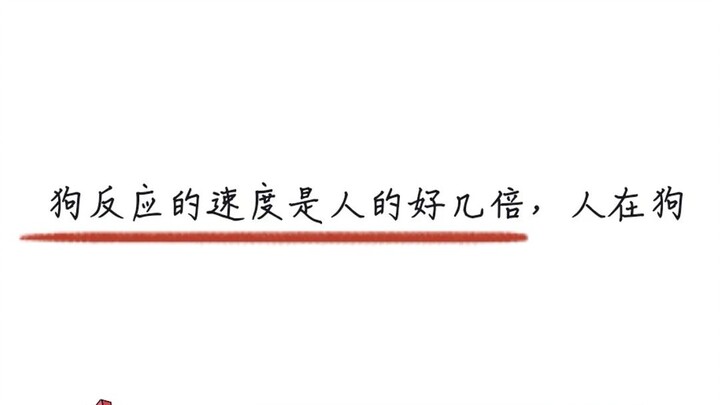 Dường như đã có bằng chứng cho thấy trong mắt chó, mọi chuyển động đều diễn ra chậm hơn