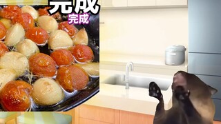 [Hot Content] Unexpected Traps in 100-Yuan Stores | Cat Meme