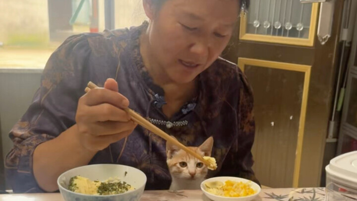 Wow, wow, wow—so delicious!