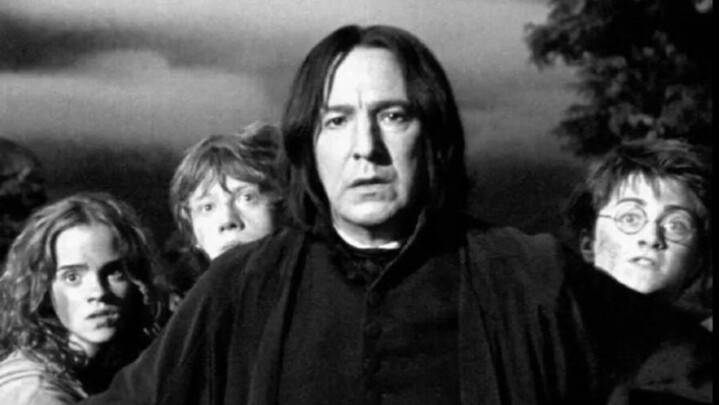 [To Sirius and Sirius] "I choose between darkness and light, but I will always love you"