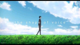 The shape of Voice AMV