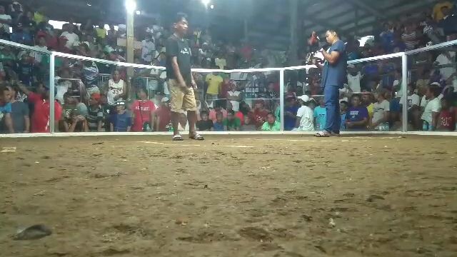 3 wins fight champion