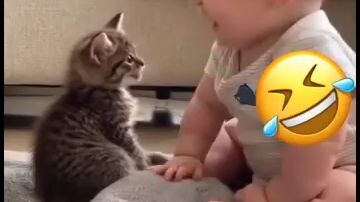 😂😂