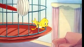 Tom and Jerry episode 79 - Life With Tom (1953) full version