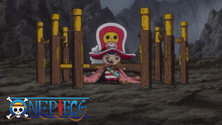 [Anime]One Piece - Tony Tony Chopper