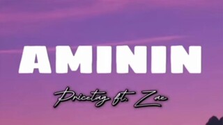 AMININ _Pricetag ft Zae