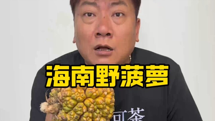 Hainan wild pineapple is edible and can also be used to brew tea.