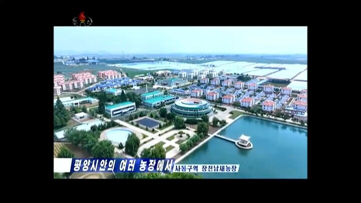 Notícias de produção de várias fazendas da cidade de Pyongyang