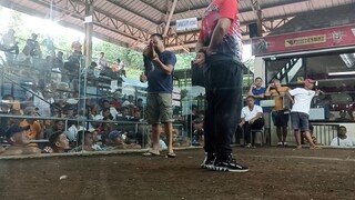 camalig win