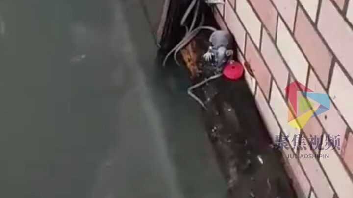 Life’s tough for these little mice—too cold out here! The community’s brought some hot water to warm