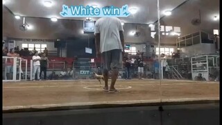 2nd Fight @ LGDC 10-22-25