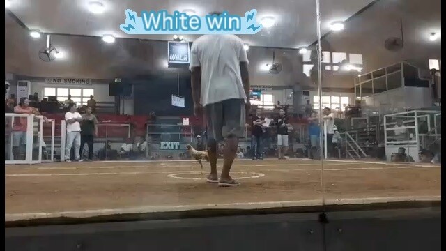 2nd Fight @ LGDC 10-22-25