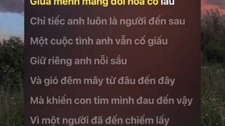 hoa cỏ lau