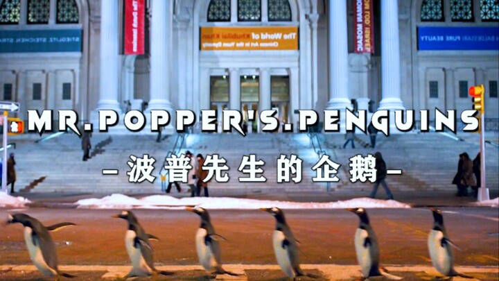 “谁能拒绝一只爱撒娇的小企鹅”