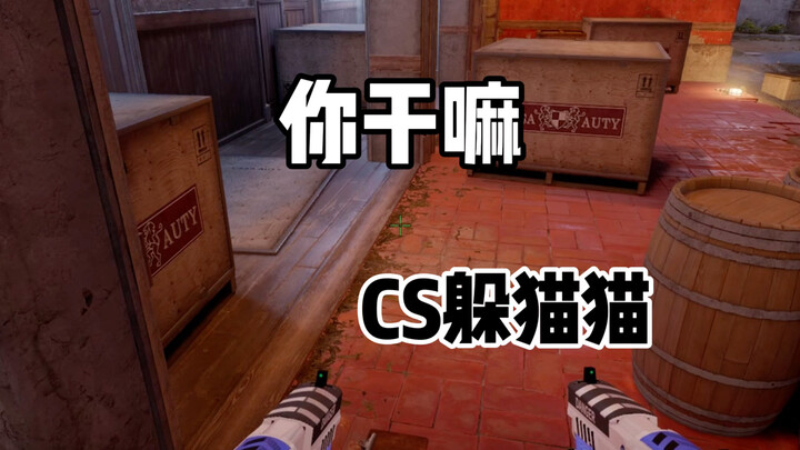 เกมซ่อนหาใน CS2: อะไรคือสกินเทพจนเหลือเชื่อ