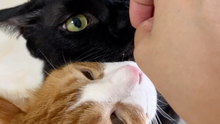 When I cheated on Xiao Lihua!