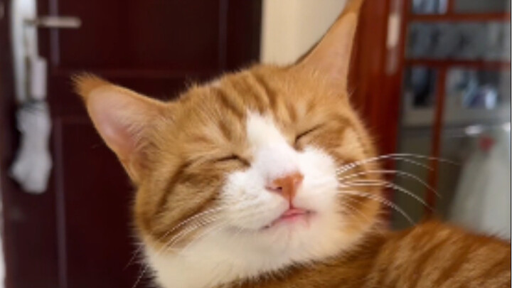 Mẹ vỗ mông con đi!