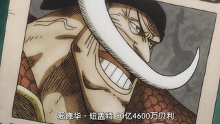 【魅力海贼王】白胡子——爱德华·纽盖特！｜世界最强的男人