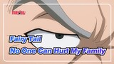 [Fairy Tail] No One Can Hurt My Family, Even the Kingdom Army!