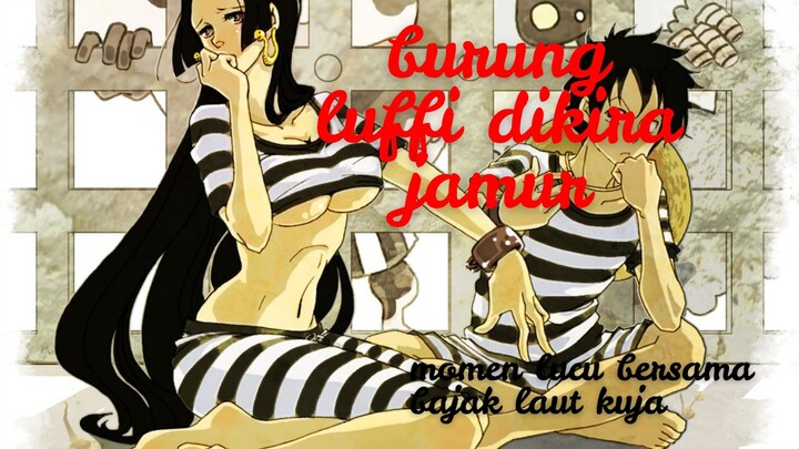 Momen Lucu!!! Burung Luffi di Kira Jamur..