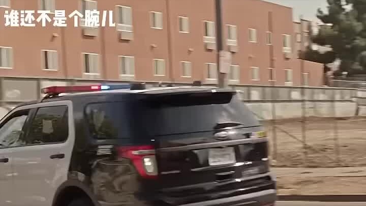 棺材里面是什么🍕