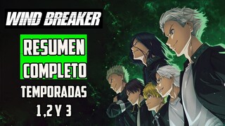 WIND BREAKER: RESUMEN COMPLETO: TEMPORADA 1,2 Y 3//DESPUES DEL ANIME