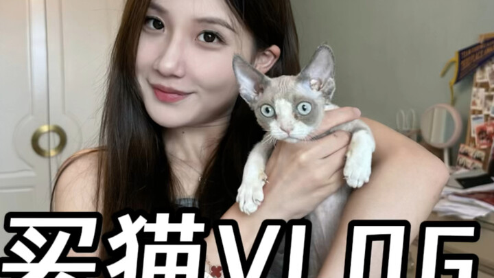 Buying a cat vlog xinh xing Congratulations to my sister for getting her own kitten at 17!