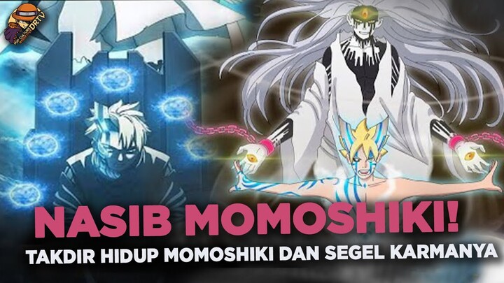 SIAPA SANGKA NASIB TAKDIR MOMOSHIKI DAN SEGEL KARMANYA KAYA GINI ? MASA DEPAN MOMOSHIKI
