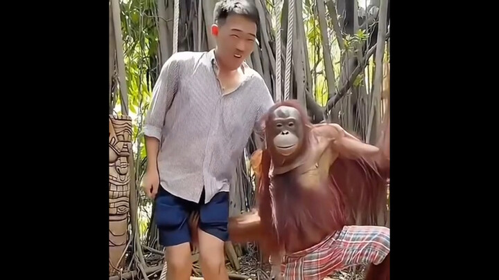 A Celebration of Animals' Naughty Behaviors