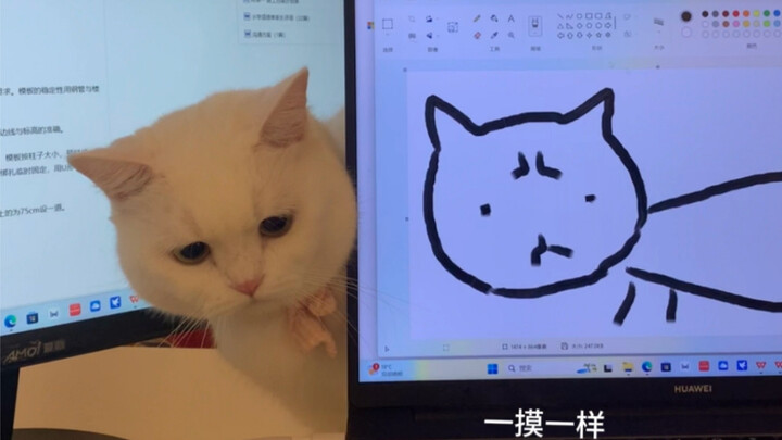 The kitten is so cute that I couldn't help but draw a picture