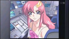 Mobile Suit Gundam SEED 29