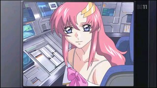 Mobile Suit Gundam SEED 29