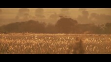 Amandla Full Movie [Sub Việt]