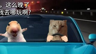 Những người anh em tốt đang đau khổ trong một đêm mưa và đua xe, bạn sẽ giải quyết điều này như thế 