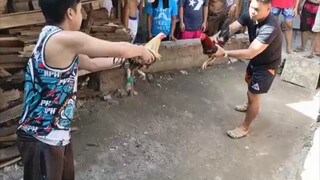 Feb 23 2025 Pula vs Talisayin (unscratched)