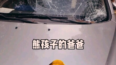 หมีออกมากลับคืนให้คุณ