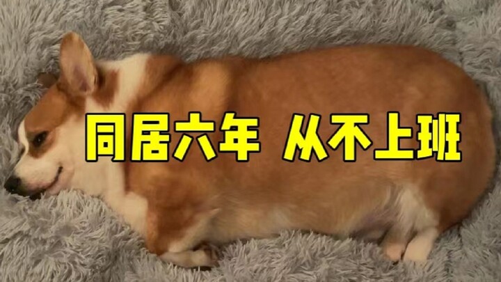 同居快六年了，他不上班全靠我养
