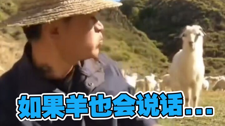 我妈做的舍友都不爱吃...