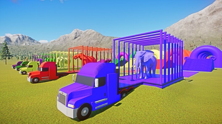 Transport of Colors ! Colored African Elephant Speed Races | Planet Zoo Animals Races 🐘