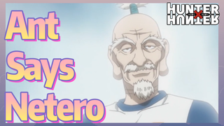 Ant Says Netero