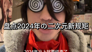 2024二次元年度报告