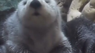 kawaii🥺