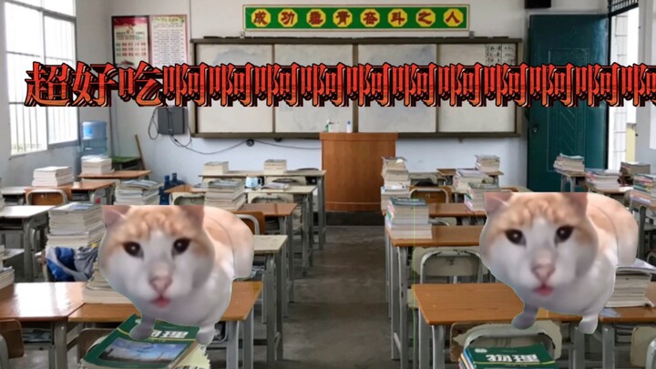【猫meme】在衡水模式学校点外卖的故事