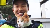 Mẹ mèo đầu quân vào đồn cảnh sát để báo đáp lòng tốt và trở thành mèo cảnh sát