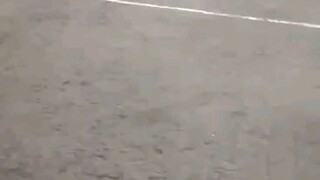win hack fight @ MCA 👌💪 matibay lang walang tagas 9 ang sugat na tinamo hehehe 5 yrs old cock 👌💪