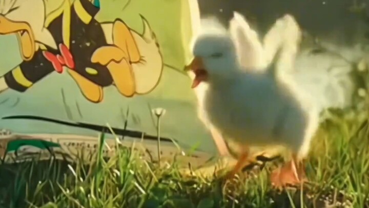 Tag dia yang paling imut untuk lihat ini!