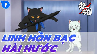 Cảnh hài hước của Linh Hồn Bạc (Part 12)_1