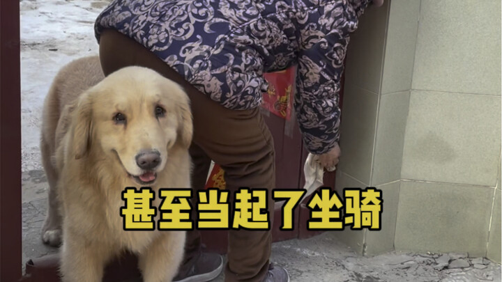 热闹的回村生活