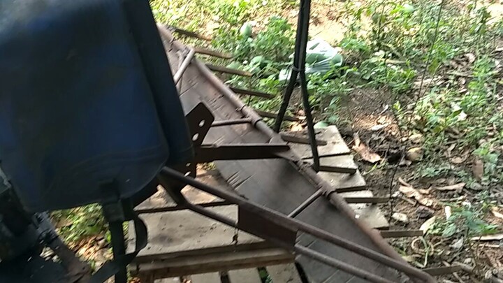 tanda ng punong ito matanda pa sakin grabe